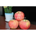 Round Fresh Cheap Qinguan apple